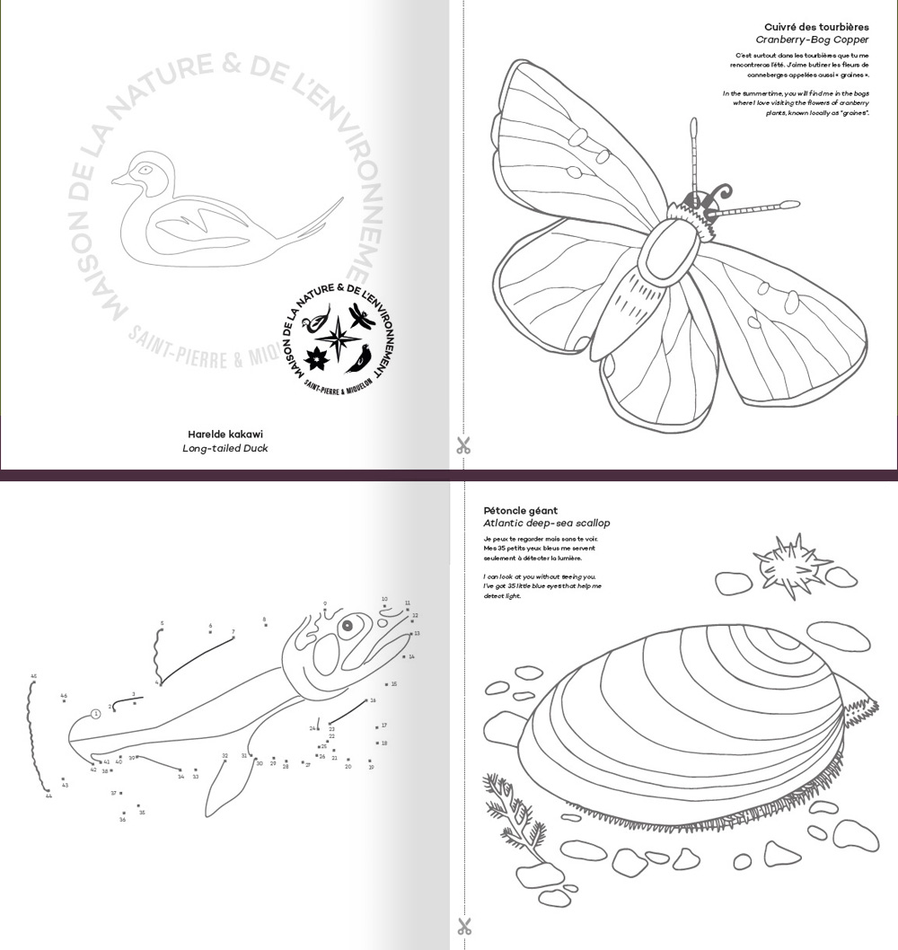 Création d'un cahier de coloriage : graphisme et illustrations