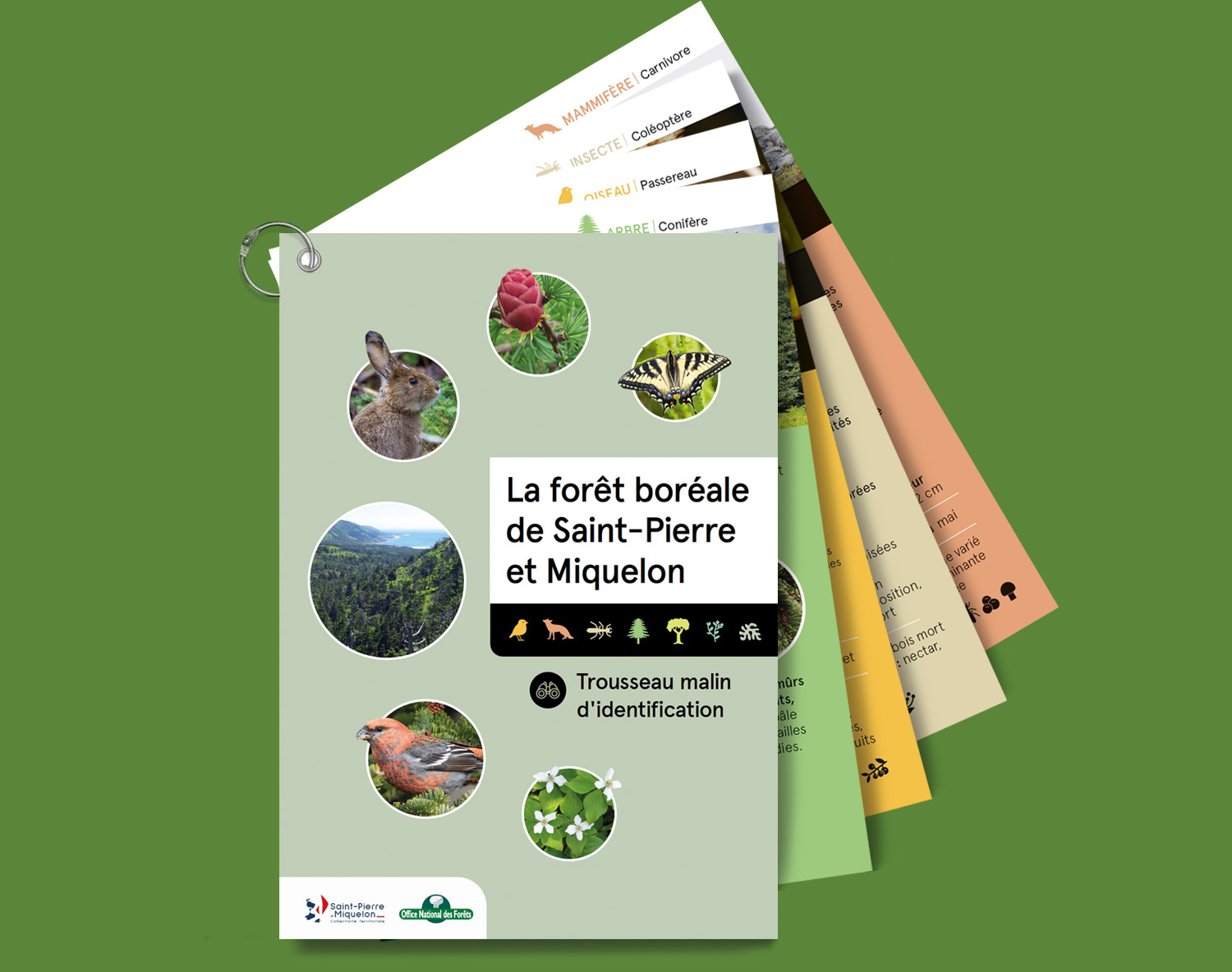 creation graphique fiches nature