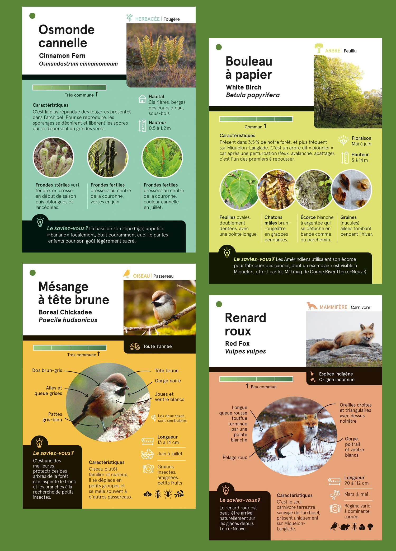 creation graphique fiches pedagogiques foret