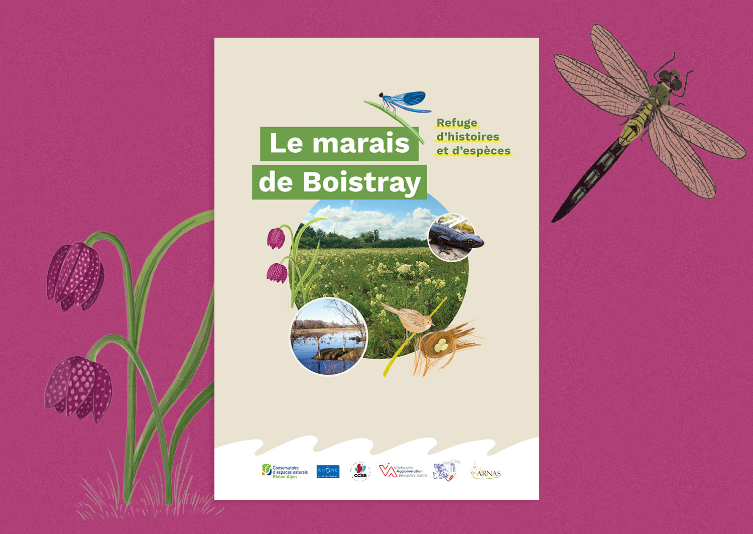 dépliant sensibilisation ecosysteme ENS