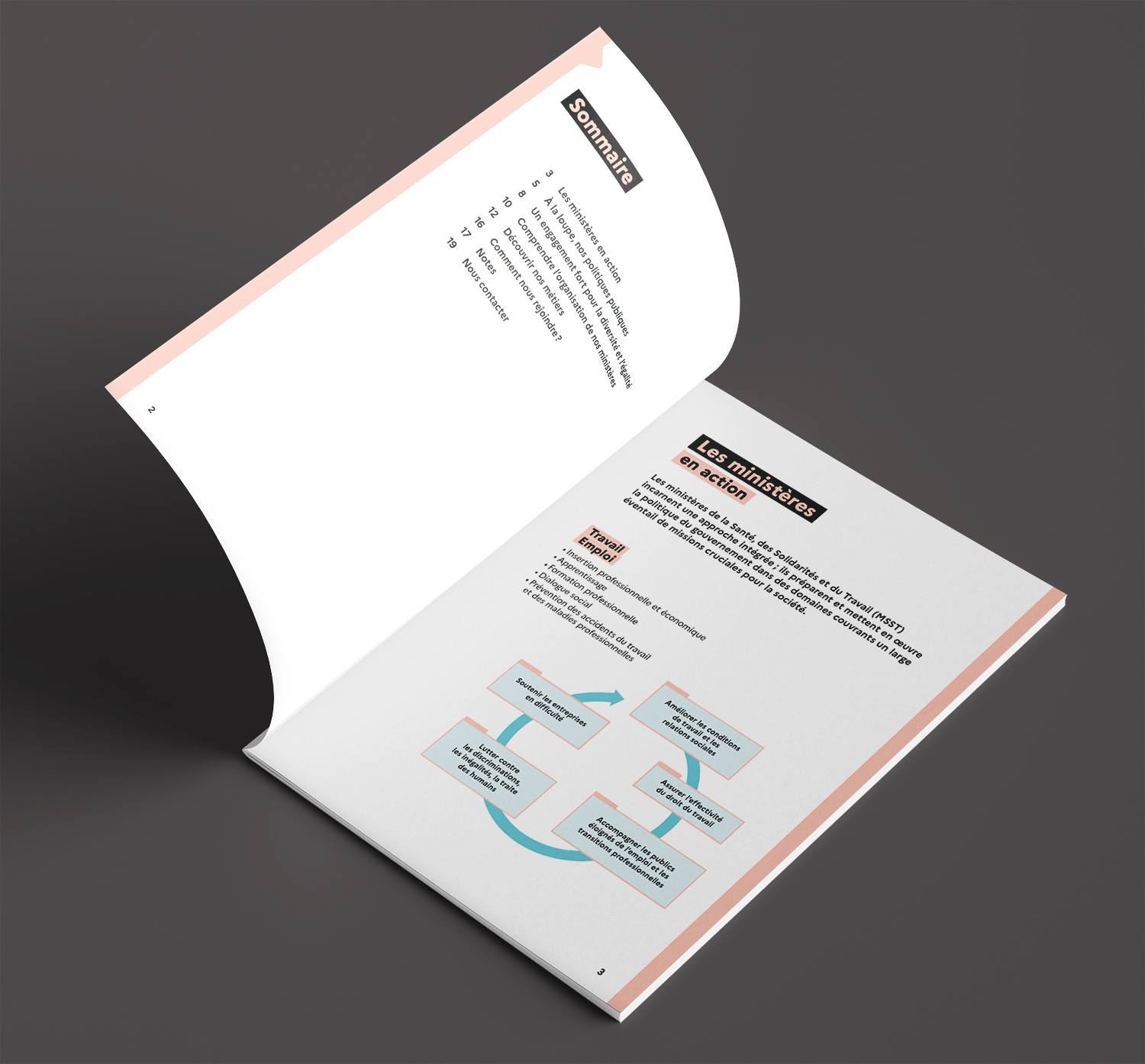 mise en page de livret domaine santé public, solidarités