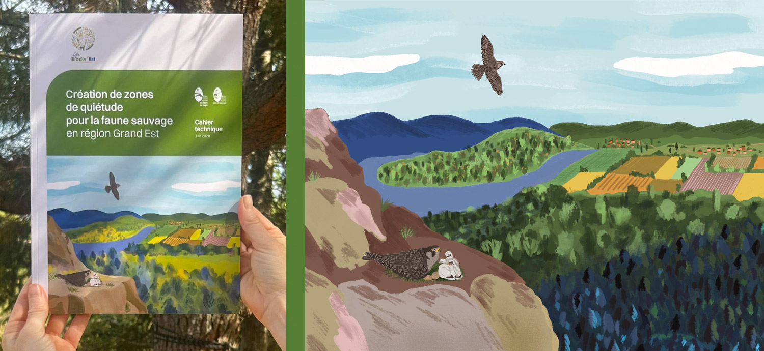 creation illustrations naturaliste couverture cahier Vosges