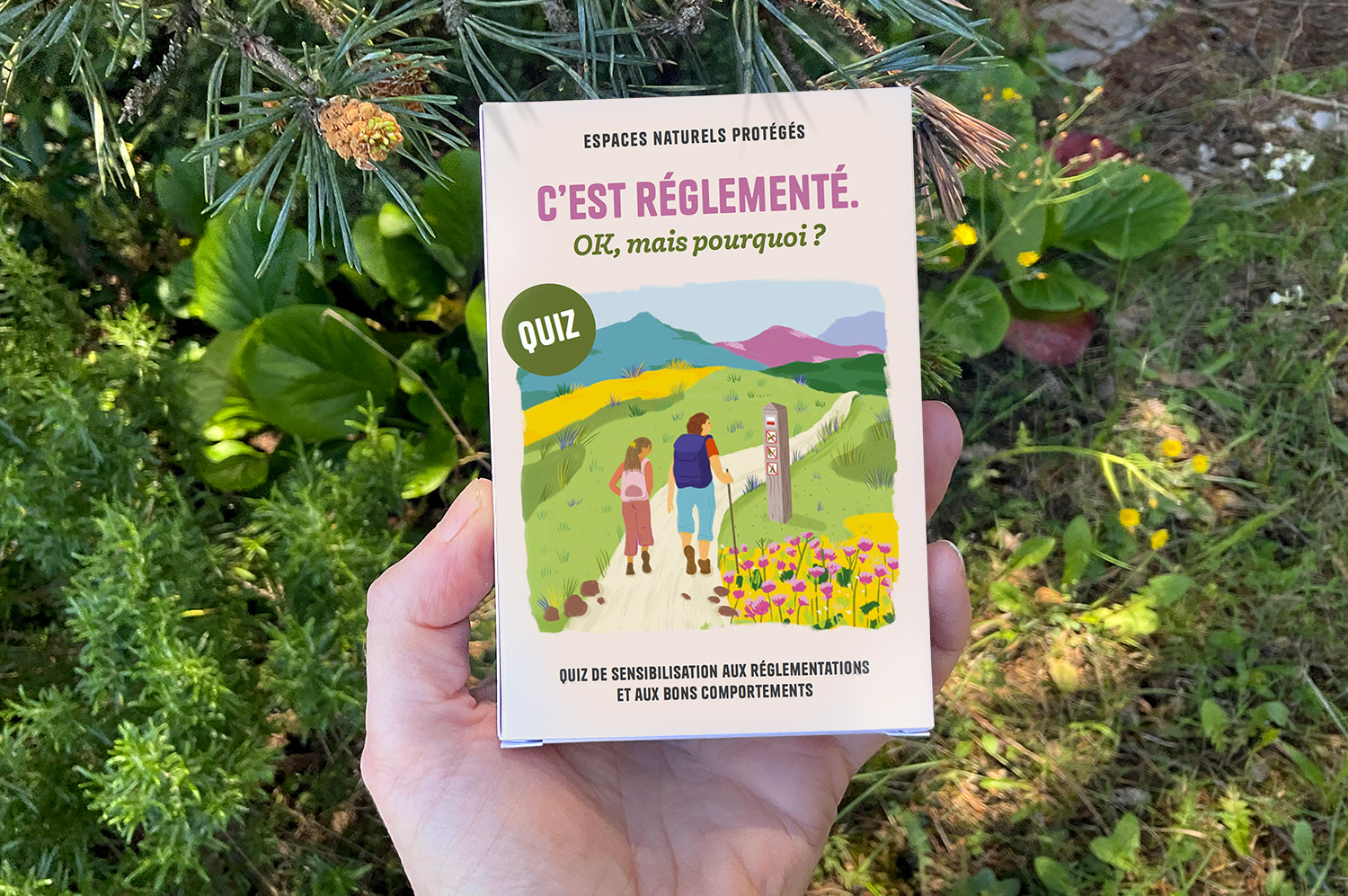 Création d'illustrations pour un jeu de carte éducation à l'environnement