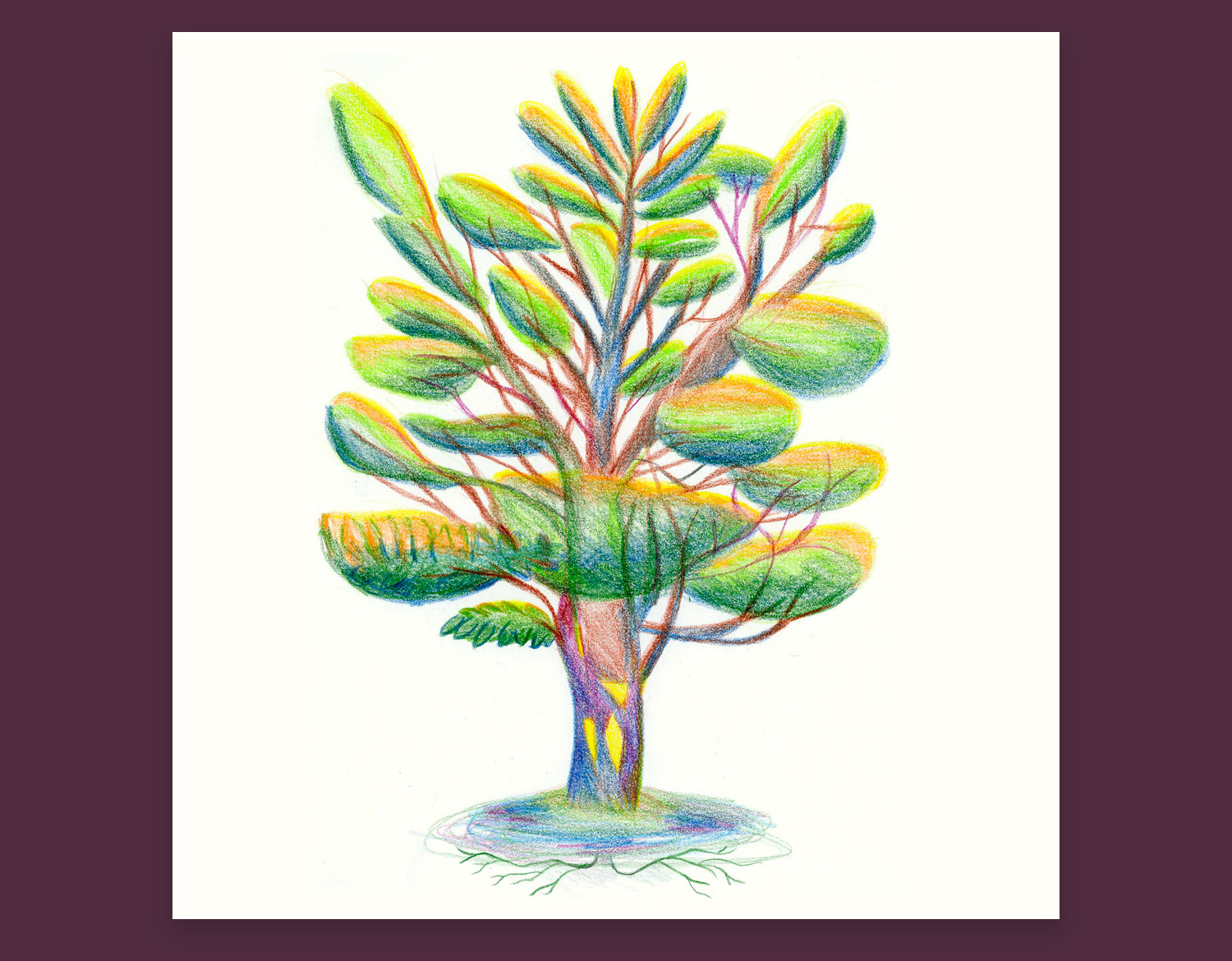 Illustration arbre magniolas