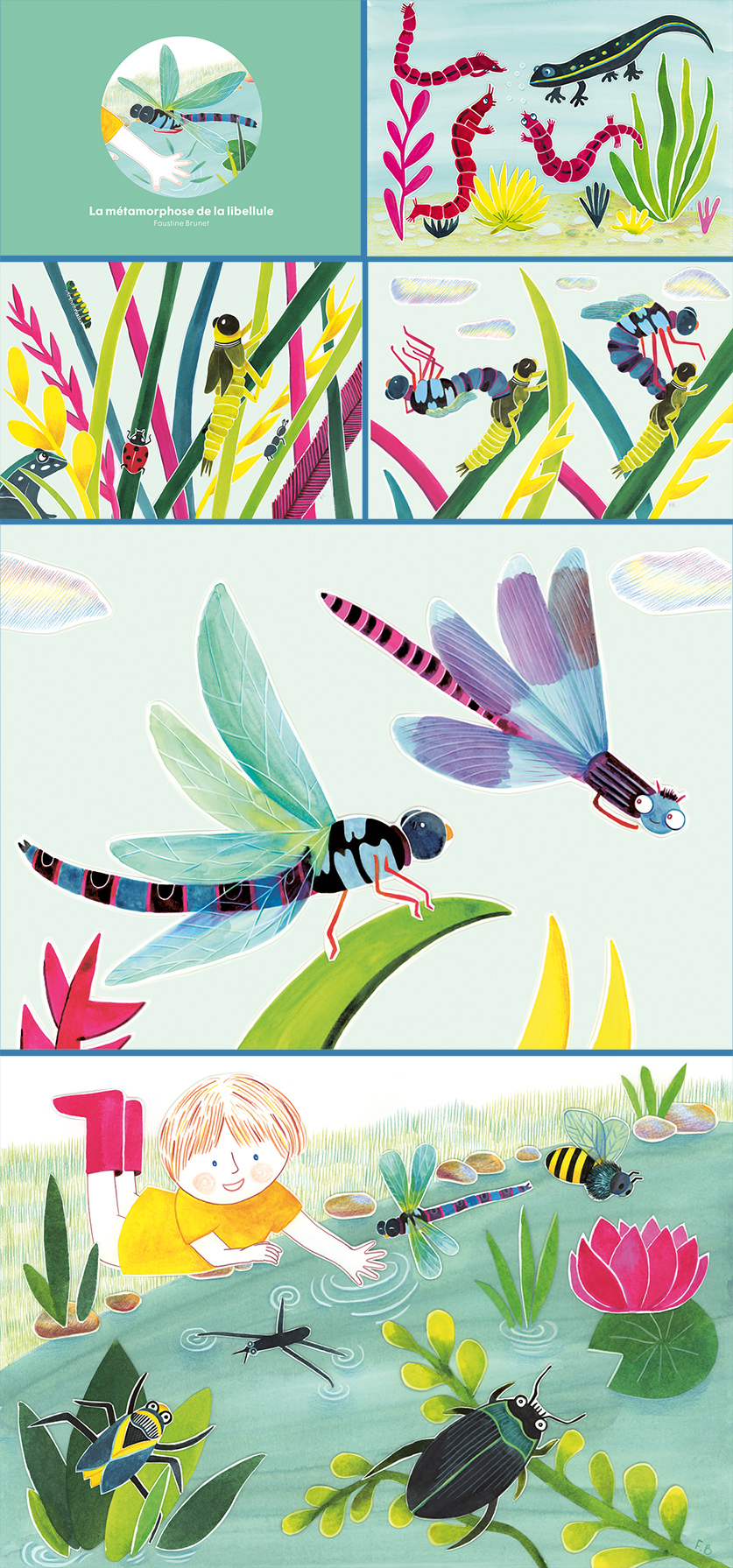 histoire pédagogique environnement et écologie mare, libellule