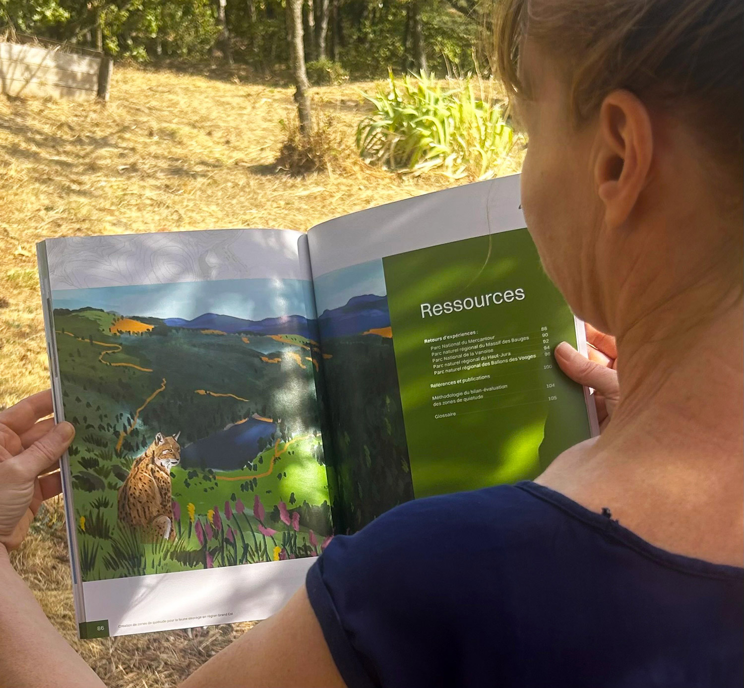 illustrations animaux sauvages PNR Vosges Ardennes