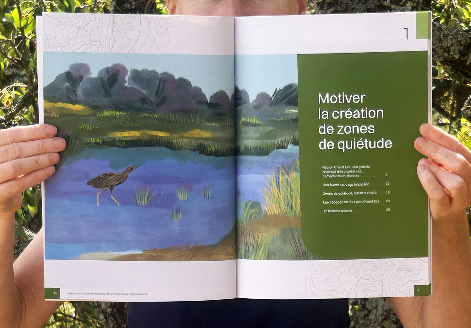 illustratrice paysage guide parc naturel Region grand Est