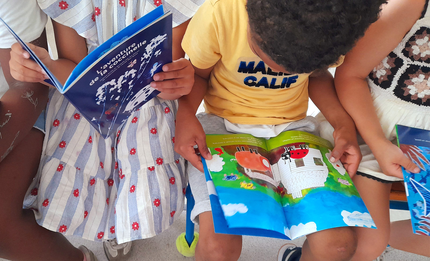 projet-litteraire-ecole-maternelle-max-barel-venissieux-faustine-Brunet