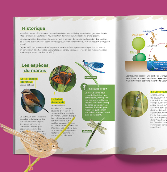 creation graphique guide du tri