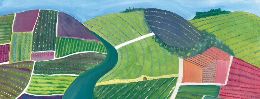 illustration paysage vignobles