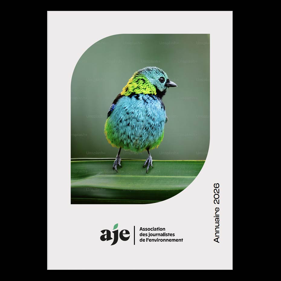 nouvelle charte graphique environnement journalisme