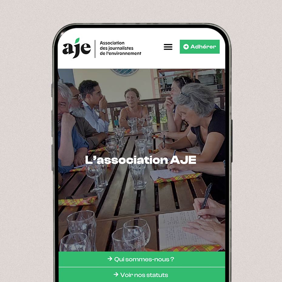 refonte site web charte graphique environnement