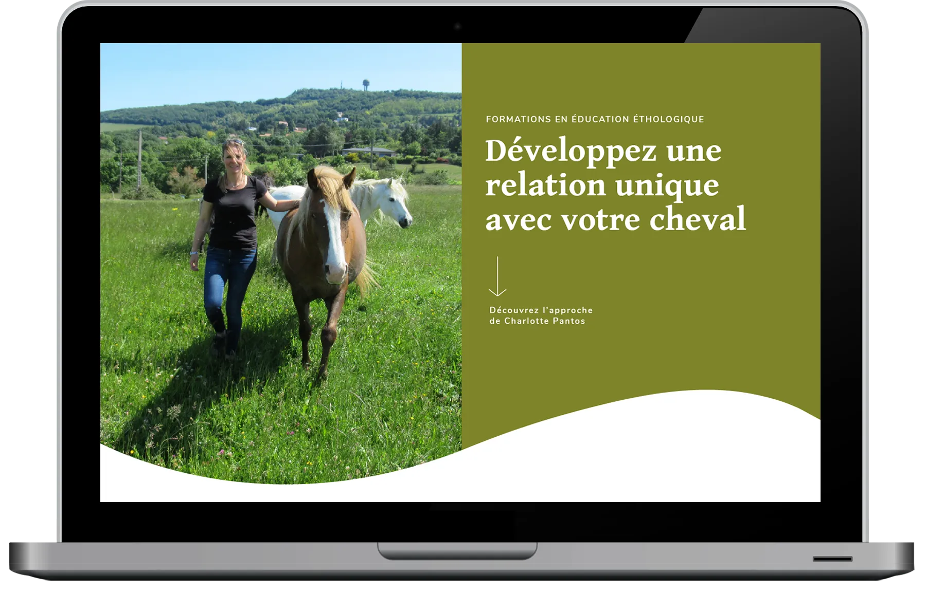 Création d'une identité visuelle et d'un site vitrine